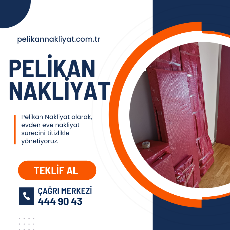 pelikan nakliyat